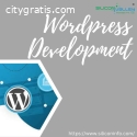 Outsource WordPress Development