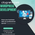 Outsource WordPress Theme Development