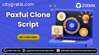 Overview of Paxful Clone Script