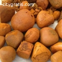 Ox Gallstones Cattle Gallstones