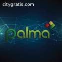 Palma Financial Services
