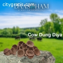 Panchgavya Diya