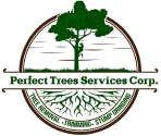 Perfect Trees Services Corp
