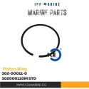 Piston Ring