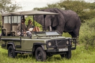 Premier African Safari Adventures
