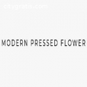 Pressed Flower Ideas