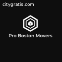 ProBostonMovers