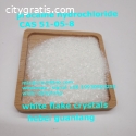 procaine hydrochloride CAS 51-05-8