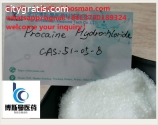 Procaine hydrochloride