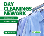 Professional Dry Cleaner Service in Newa