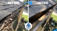 Professional Gutter Cleaning Services in