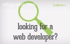 Professional website development &