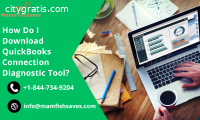 QuickBooks Connection Diagnostic Tool