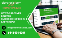 QuickBooks Files in Easy Steps?