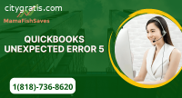 QUickBooks Unexpected Error 5