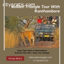 Ranthambore Tiger Sighting Tour Package