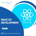 React Website Development