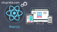 ReactJs Development India