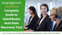 Recover Lost Data with QuickBooks Auto D
