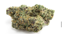 Recreational dispensary near me