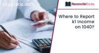 Report K-1 Income on Form 1040