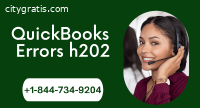 Resolve Issue in QuickBooks Error h202
