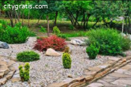 Natural Beauty for Your Home Décor