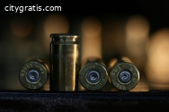Rons Guns Inc.