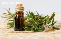 Rosemary essential oil: