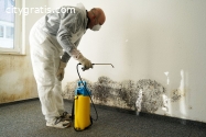 Safe Mold Removal Work in Stockton