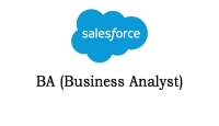 Salesforce BA Online Training In India