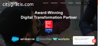 Salesforce Consulting Companies In USA