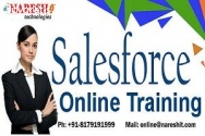 SalesForce Online Training - Naresh I Te