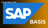SAP BASIS Online Training In India