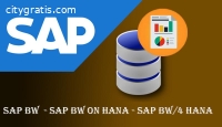 SAP BW On Hana Online Training In India