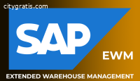 SAP EWM Online Training In India