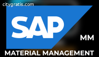 SAP MM Online Training In India