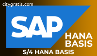 SAP S4 Hana Basis Online Training India