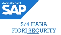 SAP S4 Hana Fiori Security Training
