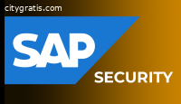SAP Security Online Training In India