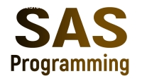 SAS Programming Online Training In India