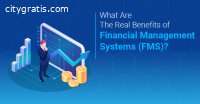 School Finance Management System
