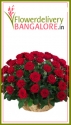 Send Mother’s Day Flowers to Bangalore