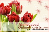 Send Unique Birthday Gifts to Ahmedabad