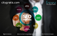 Seo service provider company