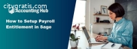 Setup Payroll Entitlement in Sage : Step