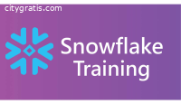 Snowflake Online Training In India