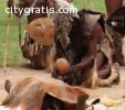 Spiritual Traditional Healer Call @ +278