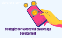 Successful eWallet App Development