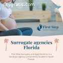 Surrogacy Agencies Florida